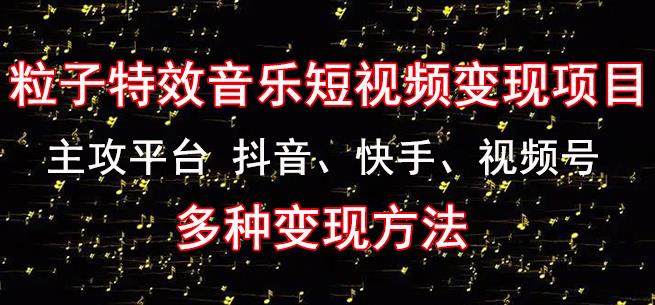 黄岛主《粒子特效音乐短视频变现项目》主攻平台抖音、快手、视频号多种变现方法-副业库