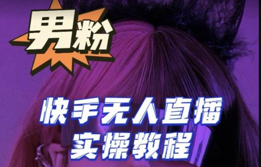 【男粉落地项目】零基础玩转男粉快手无人直播月入3w+，2023快手无人直播实操教程-副业库