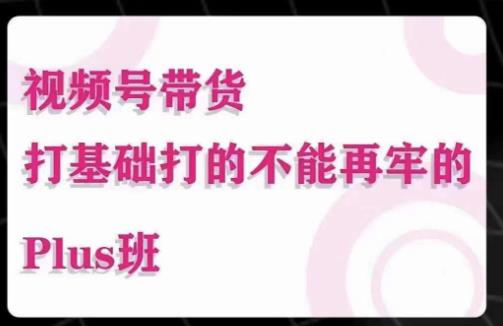 大播汇·视频号带货Puls班，视频号底层逻辑，起号自然流鱼塘等玩法-副业库