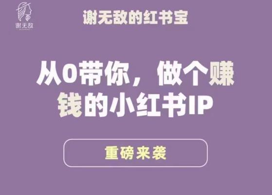 谢无敌·小红书运营大宝典，从0带你做个赚钱的小红书IP-副业库