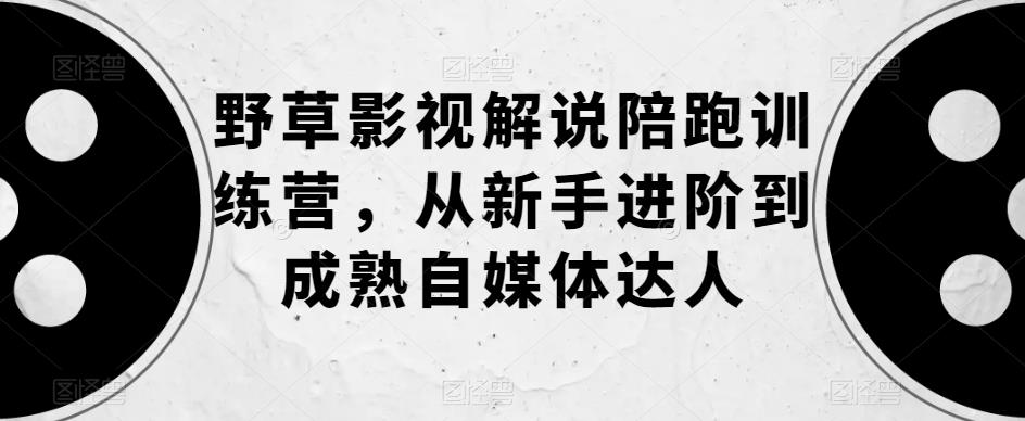 野草影视解说陪跑训练营，从新手进阶到成熟自媒体达人-副业库