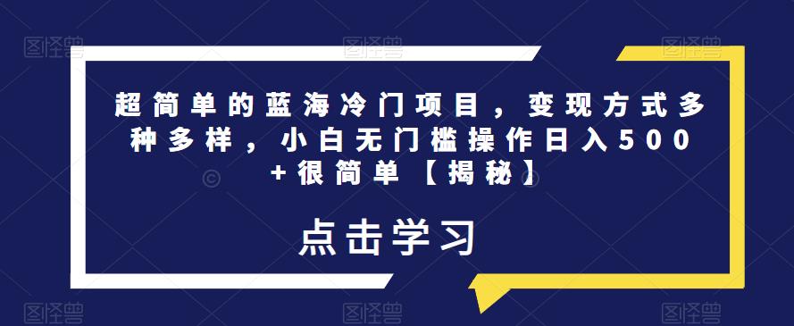 超简单的蓝海冷门项目，变现方式多种多样，小白无门槛操作日入500+很简单【揭秘】-副业库