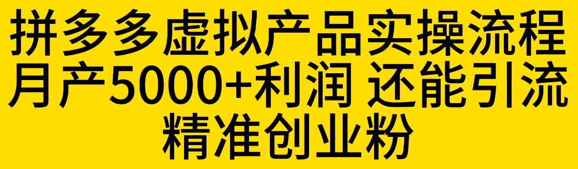 拼多多虚拟产品实操流程，月产5000+利润，还能引流精准创业粉【揭秘】-副业库