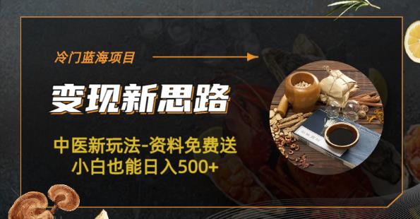 冷门蓝海项目-中医新玩法-资料免费送小白也能日入500+【揭秘】-副业库