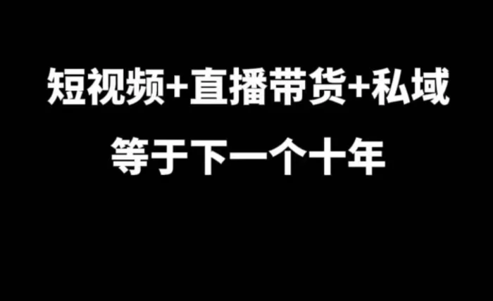 短视频+直播带货+私域等于下一个十年，大佬7年实战经验总结-副业库