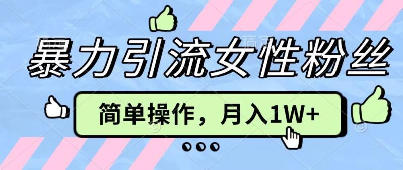 操作“零难度”小众项目，疯狂引流女性粉丝，月入轻松破 1W+-副业库