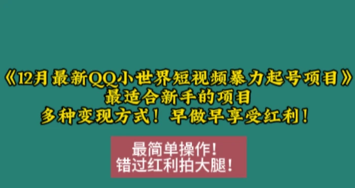12月最新QQ小世界短视频暴力起号项目，最适合新手的项目，多种变现方式-副业库