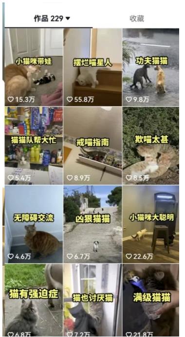 图片[3]-拆解抖音盘点类中视频变现副业项目，视频版一条龙大解析分享给你【视频课程】-副业库