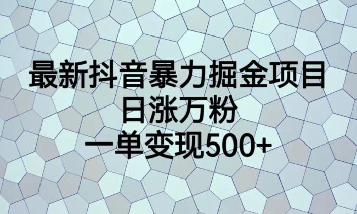 最新抖音暴力掘金项目，日涨万粉，一单变现500+【揭秘】-副业库