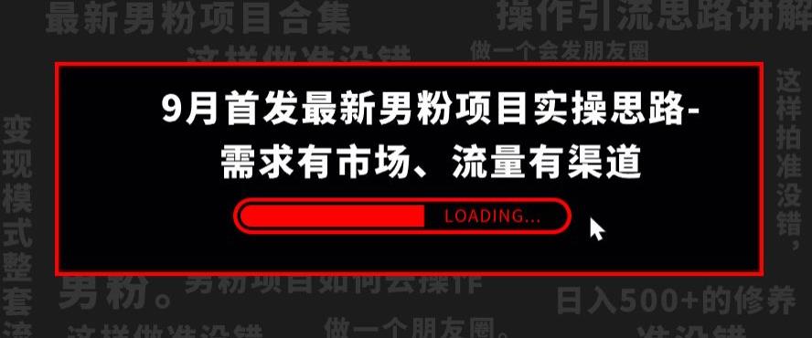9月首发最新男粉项目实操思路-需求有市场，流量有渠道【揭秘】-副业库