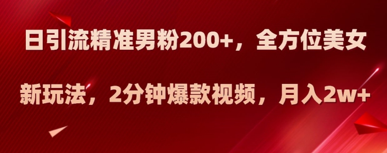 日引流精准男粉200+，全方位美女新玩法，2分钟爆款视频，月入2w+【揭秘】-副业库