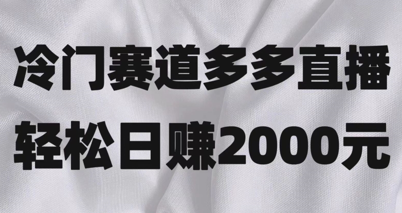 冷门赛道拼多多直播，简单念稿子，日收益2000＋【揭秘】-副业库
