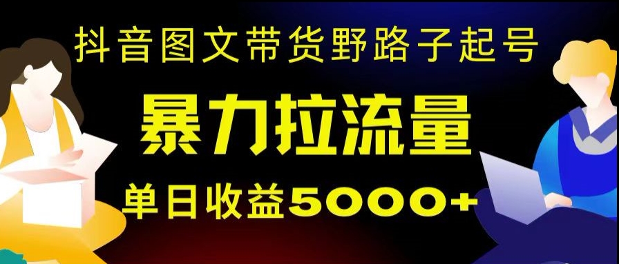 抖音图文带货暴力起号，单日收益5000+，野路子玩法，简单易上手，一部手机即可【揭秘】-副业库