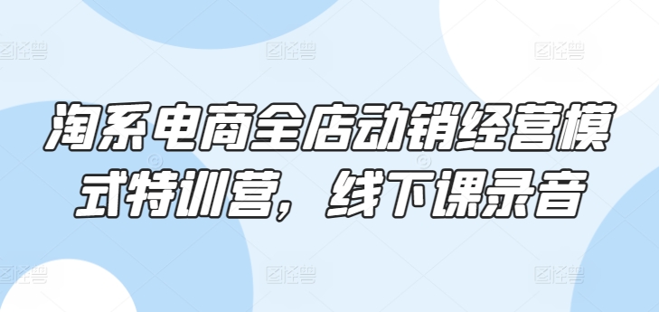 淘系电商全店动销经营模式特训营，线下课录音-副业库
