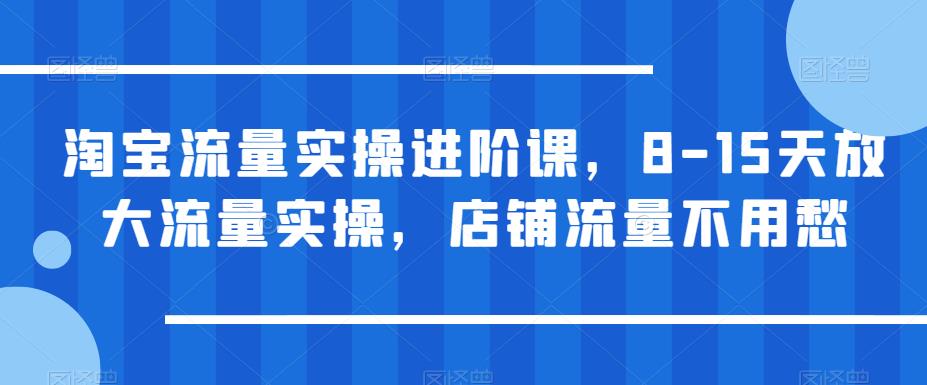 淘宝流量实操进阶课，8-15天放大流量实操，店铺流量不用愁-副业库