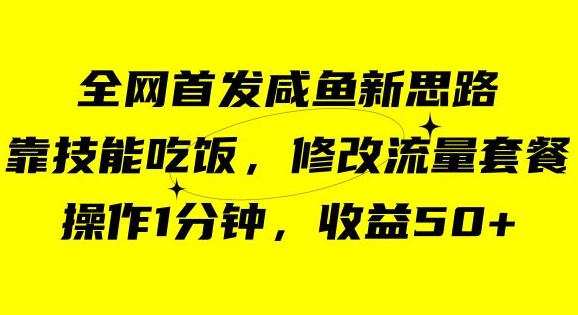 咸鱼冷门新玩法，靠“技能吃饭”，修改流量套餐，操作1分钟，收益50【揭秘】-副业库