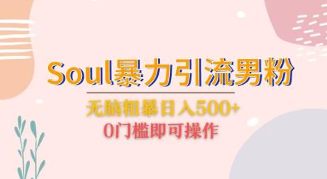 Soul暴力引流男粉玩法，无脑粗暴日入500＋，0门槛即可操作【揭秘】-副业库