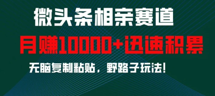 微头条相亲赛道，迅速积累，无脑复制粘贴，野路子玩法，月入1w-副业库