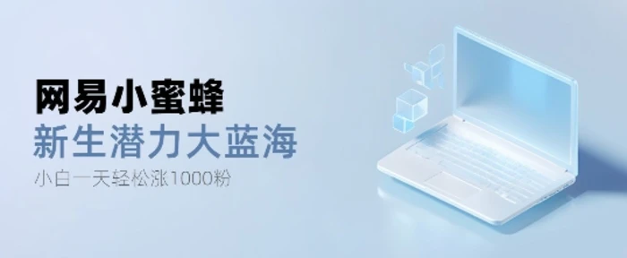 网易小蜜蜂，最新大蓝海项目，单日轻松日涨千粉-副业库