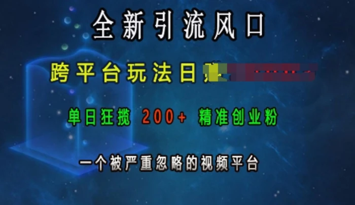 全新引流风口，跨平台玩法日入上k，单日狂揽200+精准创业粉，一个被严重忽略的视频平台-副业库