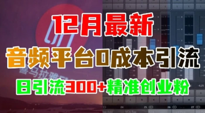 12月最新：音频平台0成本引流，日引流300+精准创业粉-副业库
