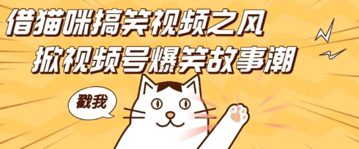 借猫咪搞笑视频之风，掀视频号爆笑故事潮，轻松日入四位数，无门槛快速入门!-副业库