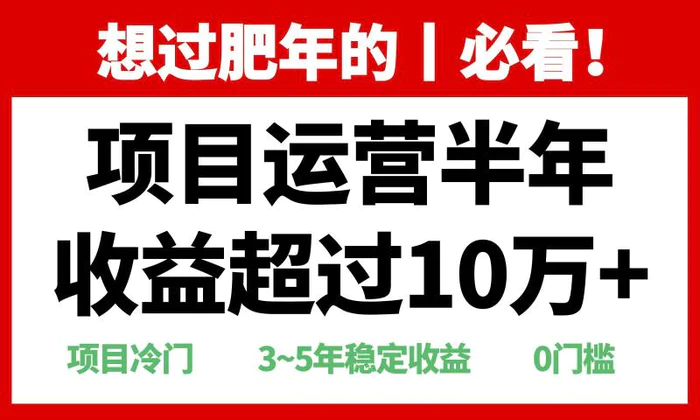 （13663期）年前过肥年的必看的超冷门项目，半年收益超过10万+，-副业库