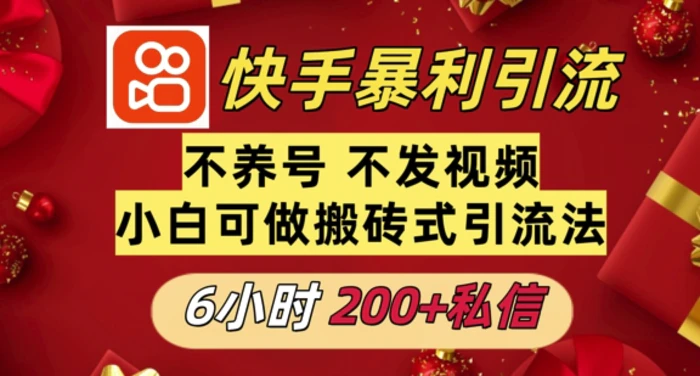 利用快手平台6小时不到200+私信，不发视频不养号-副业库