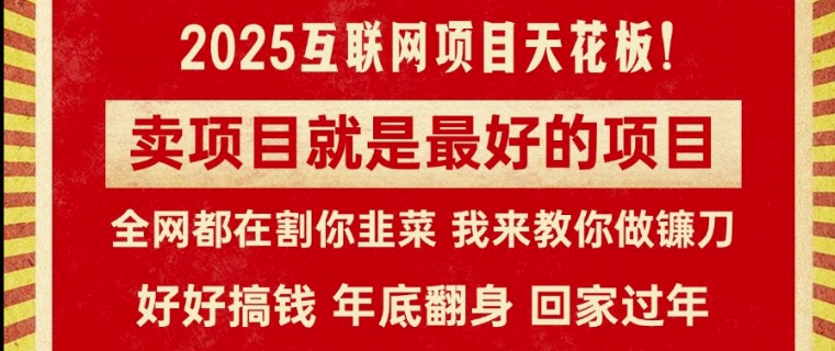卖项目就是最好的项目，2025年互联网项目天花板-副业库