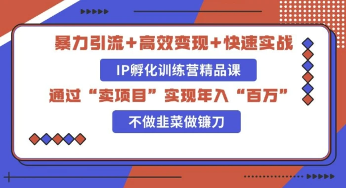 知识付费独家玩法：精准引流+高效变现，简单复制成功模式，最新IP共创导师训练营玩法-副业库