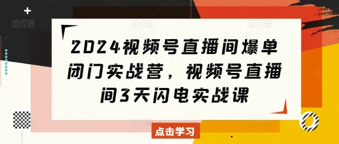 2024视频号直播间爆单闭门实战营，视频号直播间3天闪电实战课-副业库