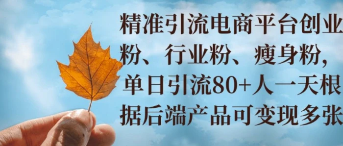 小投资撬动大收益，精准引流创业粉、行业粉，单日引流80+，一天可变现多张-副业库
