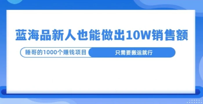 这个蓝海品，新号也能卖出10W的销售额，年底疯狂怼量就能出结果-副业库