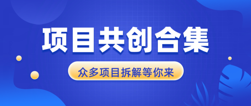 （13778期）项目共创合集，从0-1全过程拆解，让你迅速找到适合自已的项目-副业库