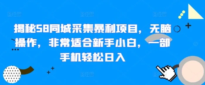 揭秘58同城采集暴利项目，无脑操作，非常适合新手小白，一部手机轻松日入-副业库