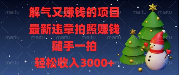 （13804期）解气又赚钱的项目，最新违章拍照赚钱，随手一拍，轻松收入3000+-副业库