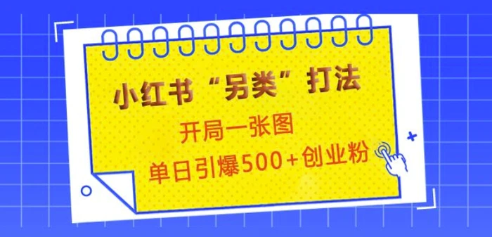 小红书“另类”打法，开局一张图，单日引爆500+精准创业粉【揭秘】-副业库
