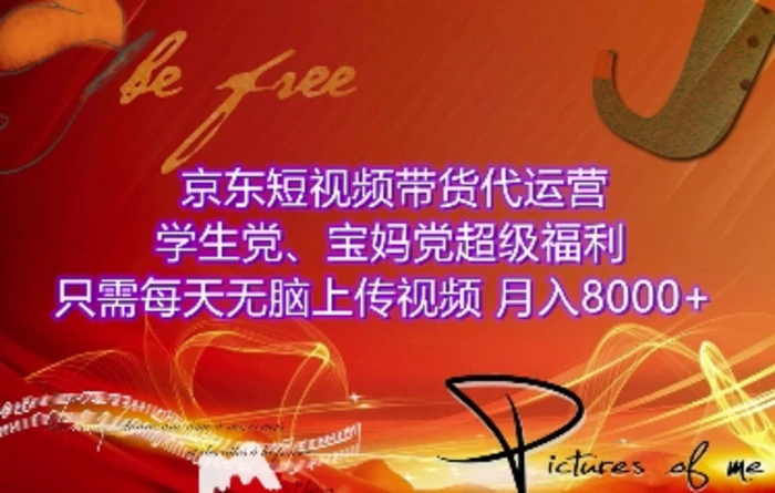京东短视频带货代运营，学生党、宝妈党超级福利，只需每天无脑上传视频，月入8000+【仅揭秘】-副业库