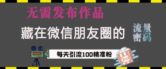藏在微信朋友圈的流量密码，无需发布作品，单日引流100+精准创业粉-副业库