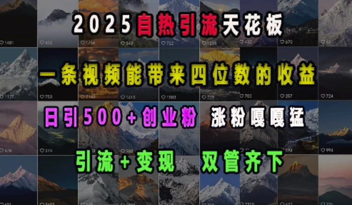 2025自热引流天花板，一条视频能带来四位数的收益，引流+变现双管齐下，日引500+创业粉，涨粉嘎嘎猛-副业库