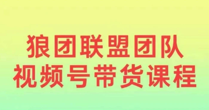 狼团联盟2024视频号带货，0基础小白快速入局视频号-副业库