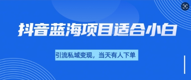 抖音蓝海小赛道私域变现项目，单价9.9单天变现100+，实操玩法分享给你-副业库
