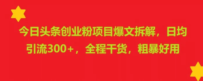 今日头条创业粉项目爆文拆解，日均引流300+，全程干货，粗暴好用-副业库