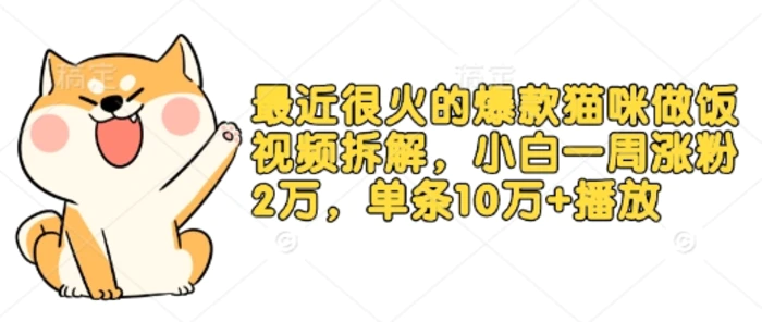 最近很火的爆款猫咪做饭视频拆解，小白一周涨粉2万，单条10万+播放(附保姆级教程)-副业库