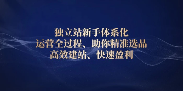 （13914期）独立站新手体系化 运营全过程，助你精准选品、高效建站、快速盈利-副业库