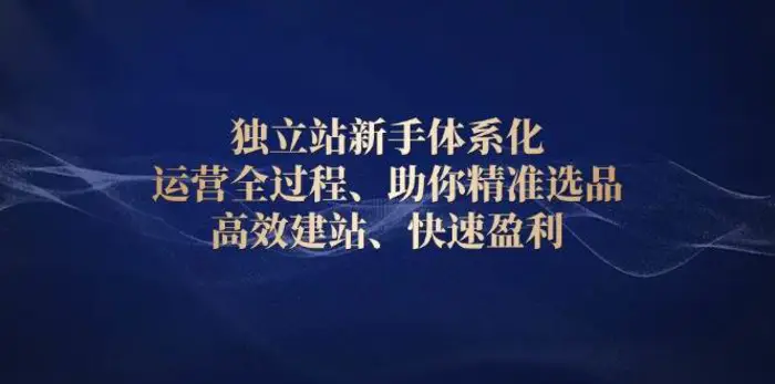 独立站新手体系化 运营全过程，助你精准选品、高效建站、快速盈利-副业库