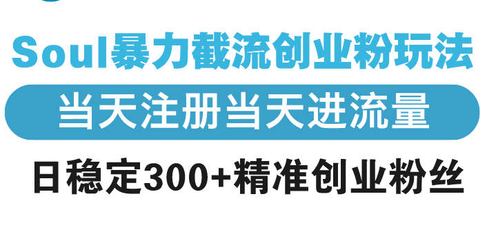 （13935期）Soul暴力截流创业粉玩法，当天注册当天进流量，日稳定300+精准创业粉丝-副业库