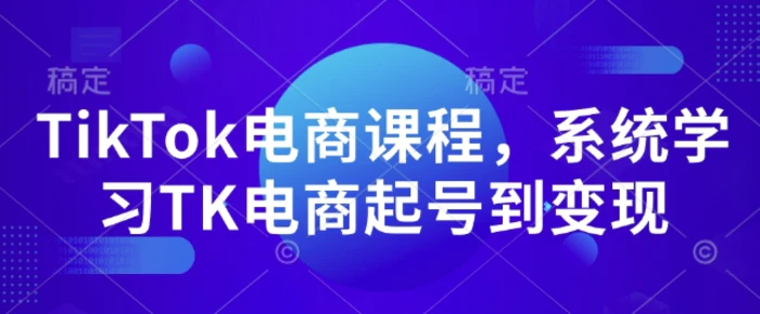 TikTok电商课程，​系统学习TK电商起号到变现-副业库