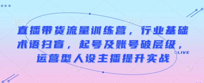 直播带货流量训练营，行业基础术语扫盲，起号及账号破层级，运营型人设主播提升实战-副业库