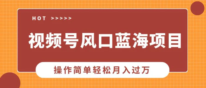 （13945期）视频号风口蓝海项目，中老年人的流量密码，操作简单轻松月入过万-副业库